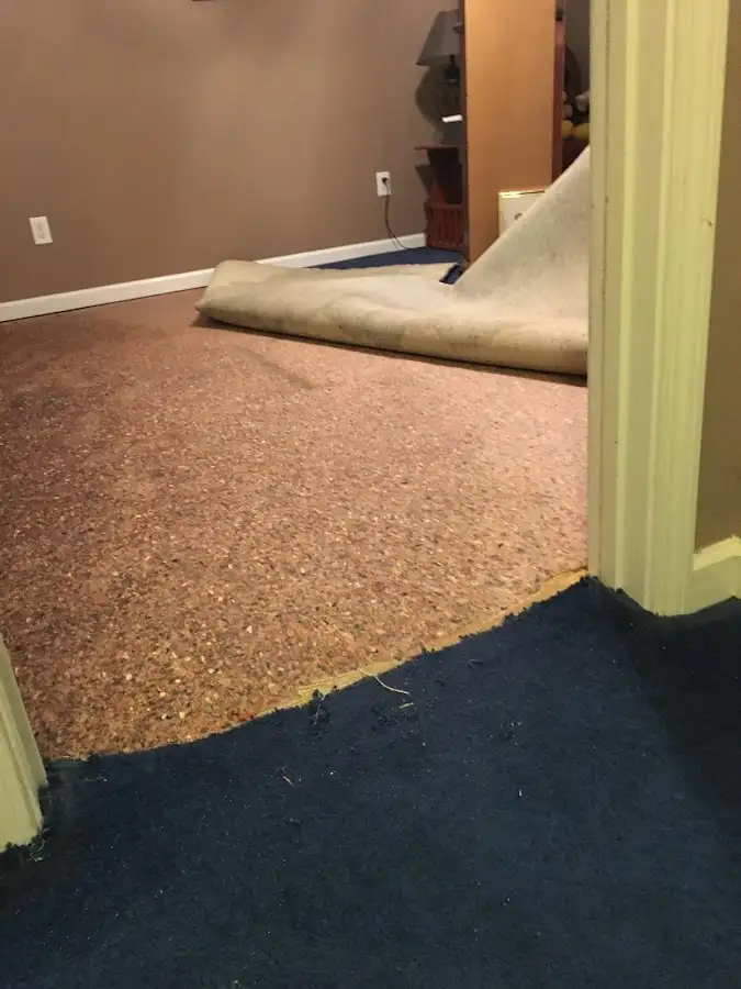 Carpet pad removal revealing water damage during Drying & Dehumidification in Hubbard