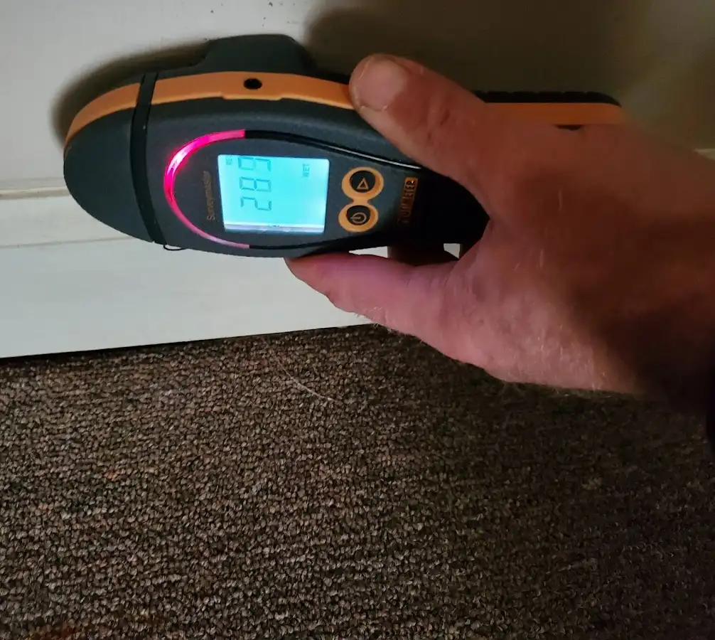 Moisture detection at baseboard during Sewage Cleanup & Sanitation in Hubbard